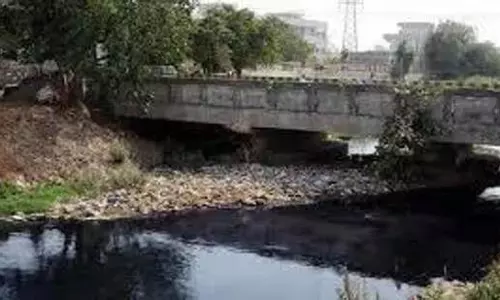 Drain polluting के आरोप में 7 डेयरी इकाई मालिकों पर मामला दर्ज Drain polluting के आरोप में 7 डेयरी इकाई मालिकों पर मामला दर्ज