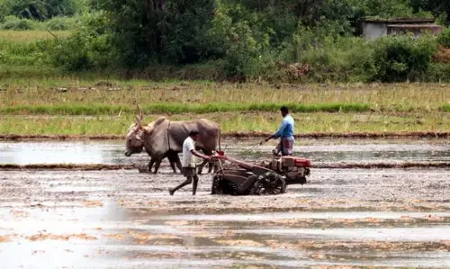 Telangana: रायथु भरोसा के कार्यान्वयन के लिए तौर-तरीकों को अंतिम रूप देने की प्रक्रिया शुरू Telangana: रायथु भरोसा के कार्यान्वयन के लिए तौर-तरीकों को अंतिम रूप देने की प्रक्रिया शुरू