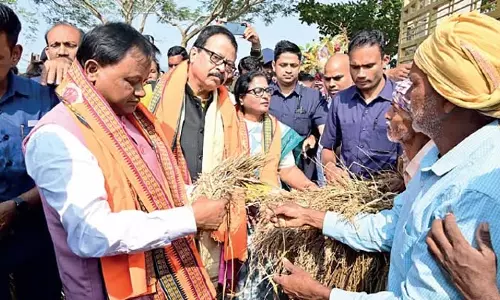 Odisha: फसल क्षति रिपोर्ट की समय सीमा आज तक बढ़ाई गई