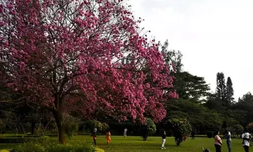 Bengaluru ,कब्बन पार्क में नए साल के जश्न पर प्रतिबंध लगाने की मांग की