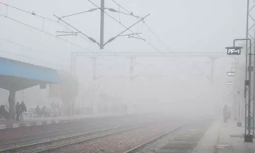 Haryana :  घने कोहरे से राज्य में ठंड बढ़ी, हवाओं से पारा गिरा