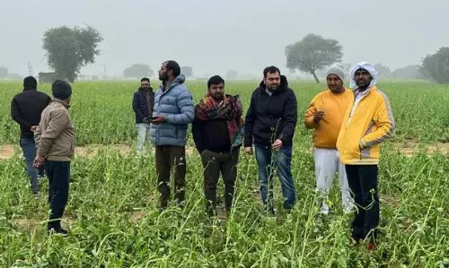 Haryana : पूर्व विधायक ने रेवाड़ी गांव में फसल नुकसान का जायजा लिया Haryana : पूर्व विधायक ने रेवाड़ी गांव में फसल नुकसान का जायजा लिया