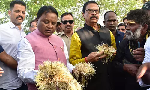 Mohan Majhi ने बेमौसम बारिश से फसल नुकसान का आकलन करने के लिए गजपति, गंजम जिलों का किया दौरा