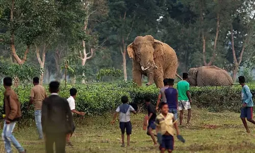 Assam ने मानव-वन्यजीव संघर्ष को कम करने के लिए लूट-विरोधी दस्ते का गठन किया Assam ने मानव-वन्यजीव संघर्ष को कम करने के लिए लूट-विरोधी दस्ते का गठन किया