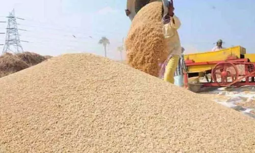 RJ: किसानों को ₹2550 प्रति क्विंटल मिलेगा, ₹125 प्रति क्विंटल बोनस के साथ RJ: किसानों को ₹2550 प्रति क्विंटल मिलेगा, ₹125 प्रति क्विंटल बोनस के साथ