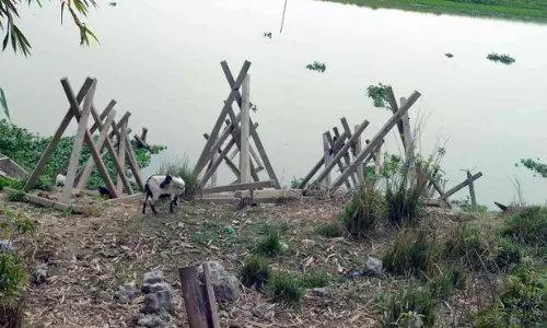 Assam: पांच दिन से लापता रंगिया निवासी व्यक्ति तालाब में मृत मिला