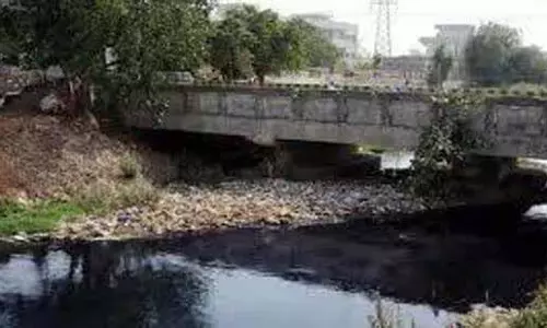 Ludhiana: 7 डेयरी इकाई मालिकों पर मामला दर्ज Ludhiana: 7 डेयरी इकाई मालिकों पर मामला दर्ज