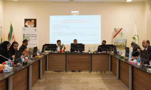 खजूर के कीटों और बीमारियों की रोकथाम में एफएओ, ईरान ने सहयोग किया खजूर के कीटों और बीमारियों की रोकथाम में एफएओ, ईरान ने सहयोग किया