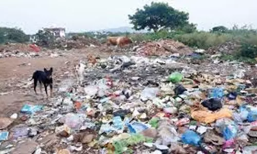 Garbage Dumping: केरल सरकार ने कैमरे से निगरानी बढ़ा दी Garbage Dumping: केरल सरकार ने कैमरे से निगरानी बढ़ा दी