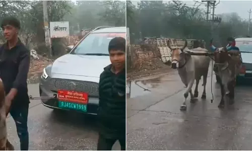 इलेक्ट्रिक कार खराब होने पर निराश अधिकारी ने बैलों की जोड़ी से खिंचवाया, VIDEO... इलेक्ट्रिक कार खराब होने पर निराश अधिकारी ने बैलों की जोड़ी से खिंचवाया, VIDEO...