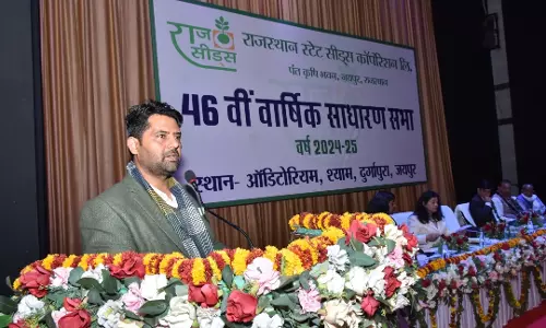 Jaipur: राजसीड्स द्वारा किसानों को वर्ष 2024-25 में कुल 3,62,451 क्विंटल बीज का हुआ वितरण Jaipur: राजसीड्स द्वारा किसानों को वर्ष 2024-25 में कुल 3,62,451 क्विंटल बीज का हुआ वितरण