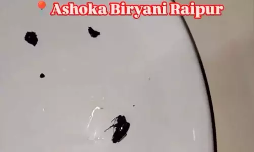 Raipur Breaking: अशोका बिरयानी के खाने में निकला कॉकरोच, ग्राहक ने मचाया हंगामा