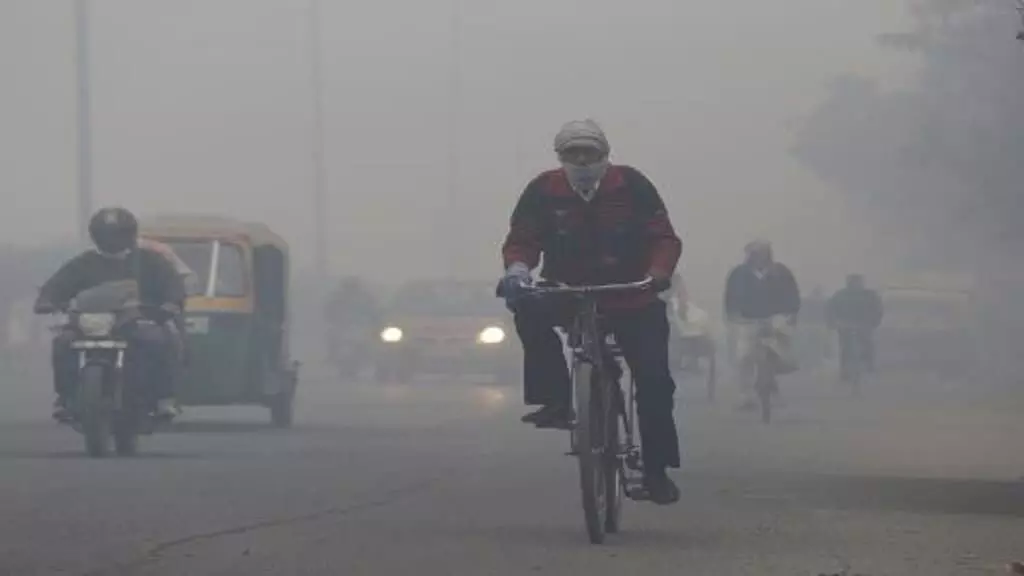 Weather: MP में कड़ाके की ठंड के बीच मानेगा नया साल