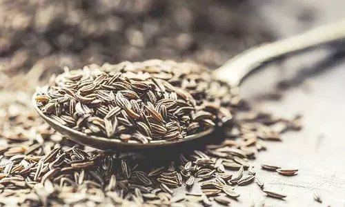 Health: रोज सुबह खाली पेट पिएं ये जादुई मसाला पानी, घटेगा वजन