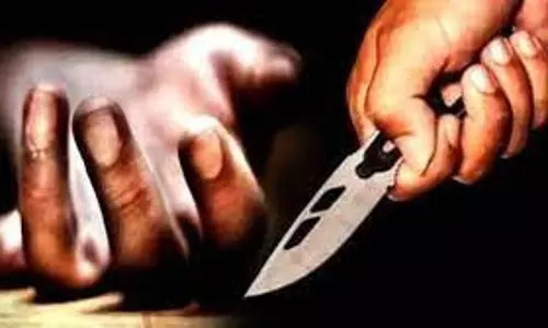 Haryana: बहन के प्रेम विवाह से नाराज भाई ने किया बड़ा अपराध Haryana: बहन के प्रेम विवाह से नाराज भाई ने किया बड़ा अपराध