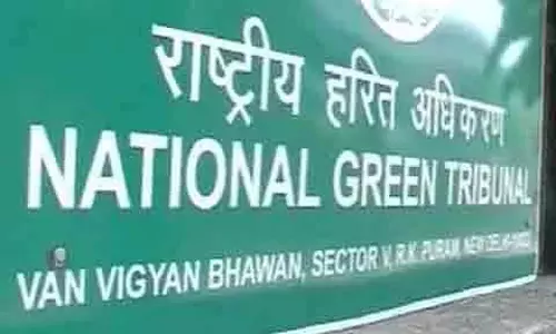 Srinagar : पेड़ों की कटाई पर एनजीटी ने सरकार को नोटिस जारी किया