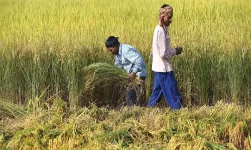 N Chaluvarayaswamy: गारंटी ऋण माफी से अधिक फायदेमंद है क्योंकि इससे सभी को मदद मिलती