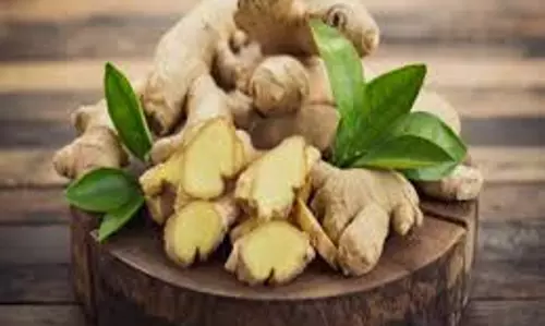 Health:    लटकते पेट से पाना है छुटकारा तो इन तरीकों से करें अदरक का सेवन
