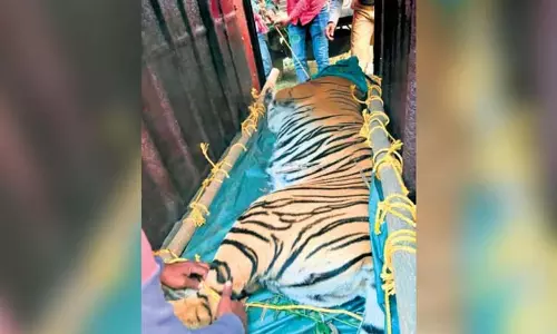 NTCA ने पश्चिम बंगाल वन प्रमुख से पूछा- जीनत को अलीपुर चिड़ियाघर क्यों भेजा गया