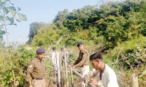 NFR ने रेलवे पटरियों को मवेशियों के प्रवेश से बचाने के लिए हितधारकों को शामिल किया NFR ने रेलवे पटरियों को मवेशियों के प्रवेश से बचाने के लिए हितधारकों को शामिल किया