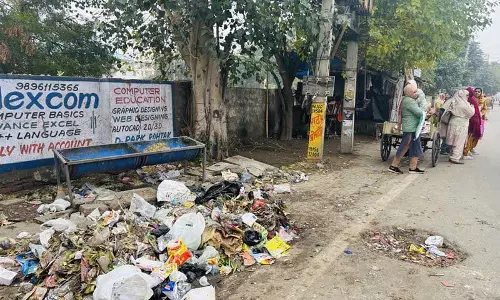 Haryana :  रोहतक में अस्वच्छता की स्थिति से कोई राहत नहीं