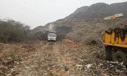 Haryana :  नई एजेंसियों की नियुक्ति में देरी से बंधवाड़ी लैंडफिल में अपशिष्ट प्रबंधन में बाधा