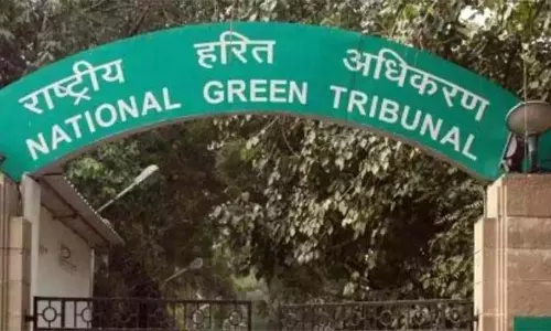 बारामूला में 1000 पेड़ गिराने पर सरकार को NGT का नोटिस