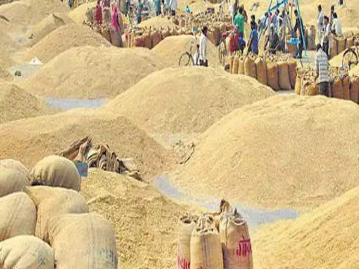 सोसायटी में धान रखने जगह नहीं, नहीं बेच पा रहे किसान परेशान सोसायटी में धान रखने जगह नहीं, नहीं बेच पा रहे किसान परेशान
