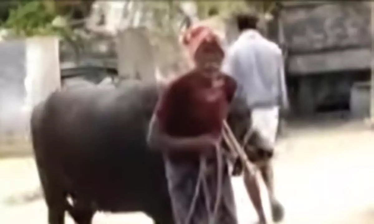 Karnataka: कर्नाटक में भैंस को लेकर ग्रामीणों में झड़प Karnataka: कर्नाटक में भैंस को लेकर ग्रामीणों में झड़प