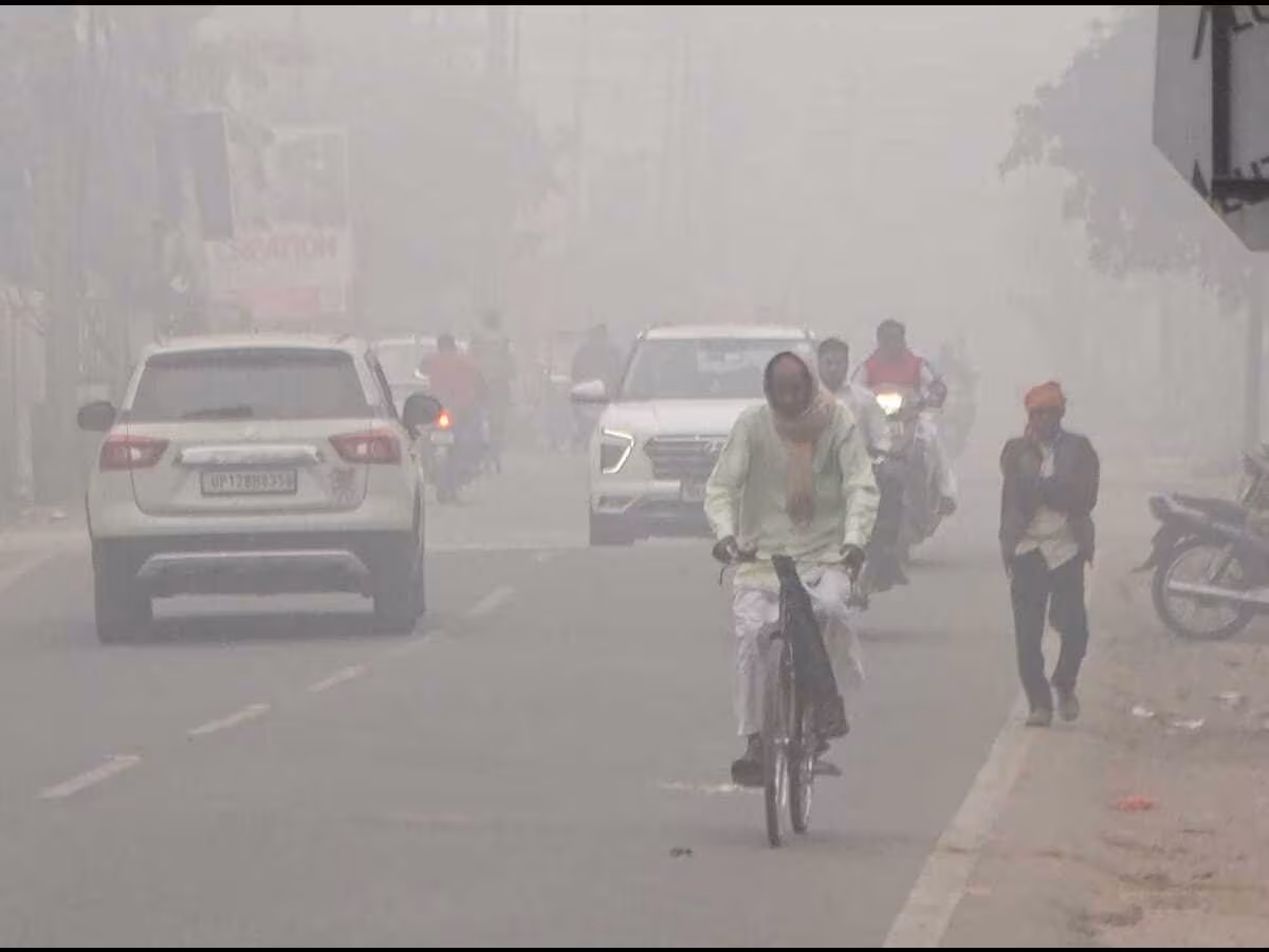 Rajasthan: घने कोहरे की आगोश में कई शहर Rajasthan: घने कोहरे की आगोश में कई शहर