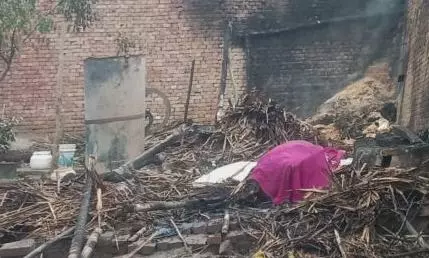 Shamli: देर रात छप्पर में आग लगने से दो पशुओं की दर्दनाक मौत हुई Shamli: देर रात छप्पर में आग लगने से दो पशुओं की दर्दनाक मौत हुई