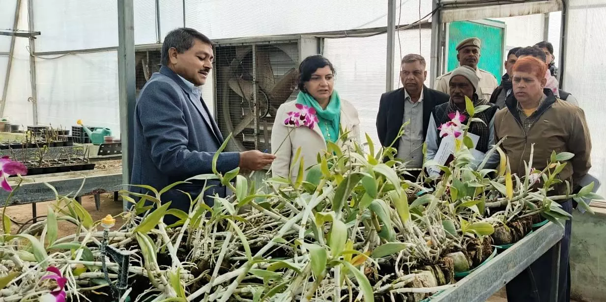 Madhupur: जिला कलेक्टर ने फूल उत्कृष्टता केंद्र का किया निरीक्षण Madhupur: जिला कलेक्टर ने फूल उत्कृष्टता केंद्र का किया निरीक्षण