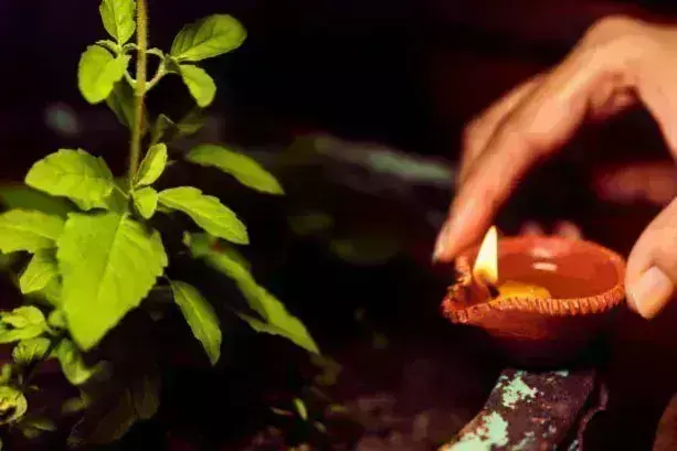 Tulsi upay: साल के पहले दिन तुलसी के इन उपायों से करोबार में होगा लाभ Tulsi upay: साल के पहले दिन तुलसी के इन उपायों से करोबार में होगा लाभ