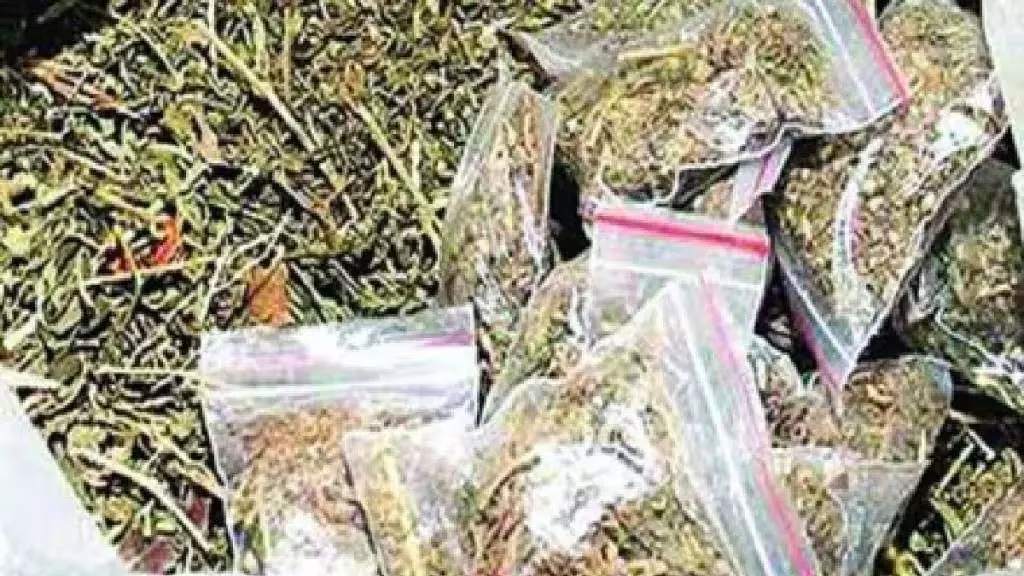 Mumbai: गांजा तस्करी के आरोप में ऑटो रिक्शा चालक गिरफ्तार Mumbai: गांजा तस्करी के आरोप में ऑटो रिक्शा चालक गिरफ्तार