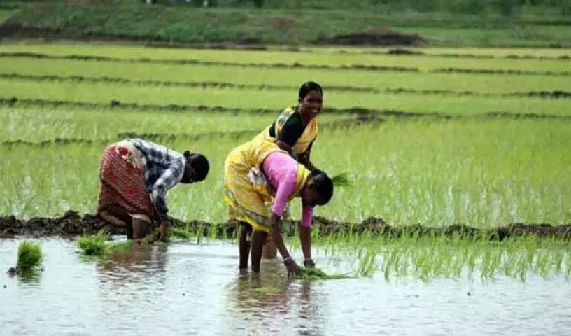 Raithu Bharosa: नए मानदंडों पर कैबिनेट उप-समिति में सहमति नहीं बन पाई Raithu Bharosa: नए मानदंडों पर कैबिनेट उप-समिति में सहमति नहीं बन पाई