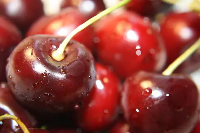 क्या आप जानते हैं Cherries खाने के अद्भुत लाभ क्या आप जानते हैं Cherries खाने के अद्भुत लाभ