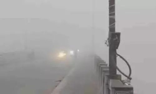 Rajasthan weather: कोहरे की चादर, मौसम विभाग ने 11 जिलों में जारी किया अलर्ट