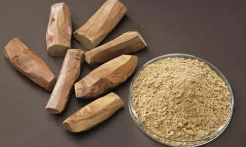 Skin Care:कच्चे दूध से बने इन  फेस पैक से चमकाएं अपनी त्वचा