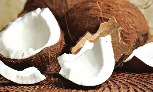 Assam : केवीके सोनितपुर में नारियल की खेती पर एक दिवसीय कार्यशाला आयोजित