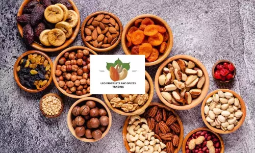 लियो ड्राई फ्रूट्स एंड स्पाइसेज IPO दिन 1: GMP, सदस्यता स्थिति, सहित सम्पूर्ण विवरण