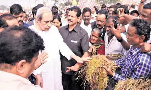 Odisha: ओडिशा में फसल नुकसान से परेशान एक और किसान ने आत्महत्या कर ली