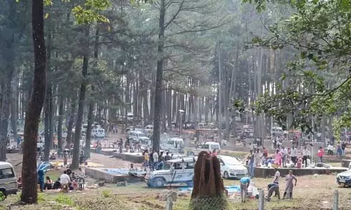 Picnic season: ध्वनि प्रदूषण के कारण ओडिशा के दरिंगबाड़ी से वन्यजीव बाहर हो रहे Picnic season: ध्वनि प्रदूषण के कारण ओडिशा के दरिंगबाड़ी से वन्यजीव बाहर हो रहे