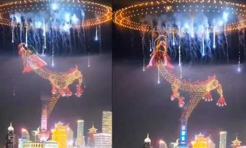 New Year 2025: चीनी नव वर्ष सांप के वर्ष के साथ शुरुआत, देखे