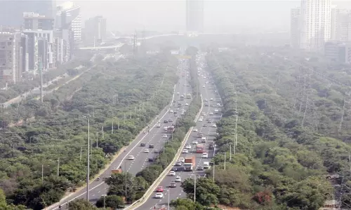 Noida: नोएडा प्राधिकरण ने सेक्टर-145 में सड़क बनाने की तैयारी शुरू की