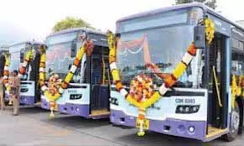 MTC इस वर्ष बेड़े में 1,320 इलेक्ट्रिक बसें जोड़ेगा
