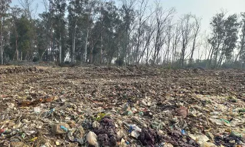 Haryana : कचरा प्रबंधन पर 7.14 करोड़ रुपये खर्च करेगी नगर निगम