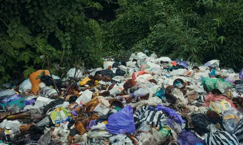 Bhopal: यूनियन कार्बाइड से 377 टन जहरीला कचरा एकत्र कर पैक किया गया Bhopal: यूनियन कार्बाइड से 377 टन जहरीला कचरा एकत्र कर पैक किया गया