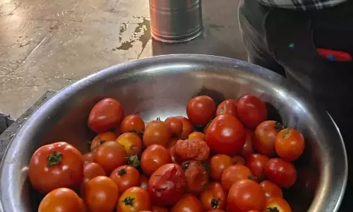 निरीक्षण में Hyderabad के रेस्तरां में स्वच्छता संबंधी गंभीर चूक का पता चला