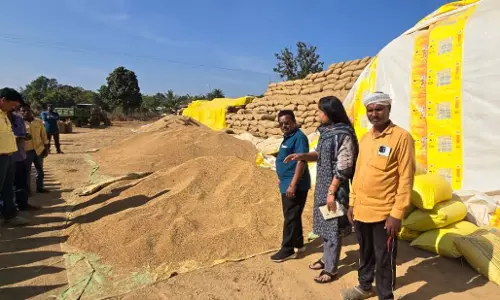 पटेवा तहसील में 50 कट्टा अवैध धान जब्त