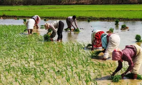बढ़ सकती है पीएम किसान सम्मान योजना की राशि ! बढ़ सकती है पीएम किसान सम्मान योजना की राशि !